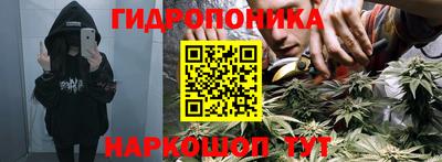 ECSTASY Новокубанск