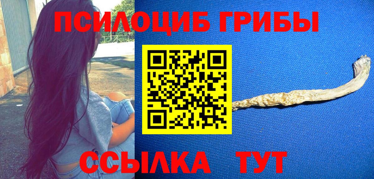 Псилоцибиновые грибы Psilocybe  Вход с VPN  Ростов-на-Дону 
