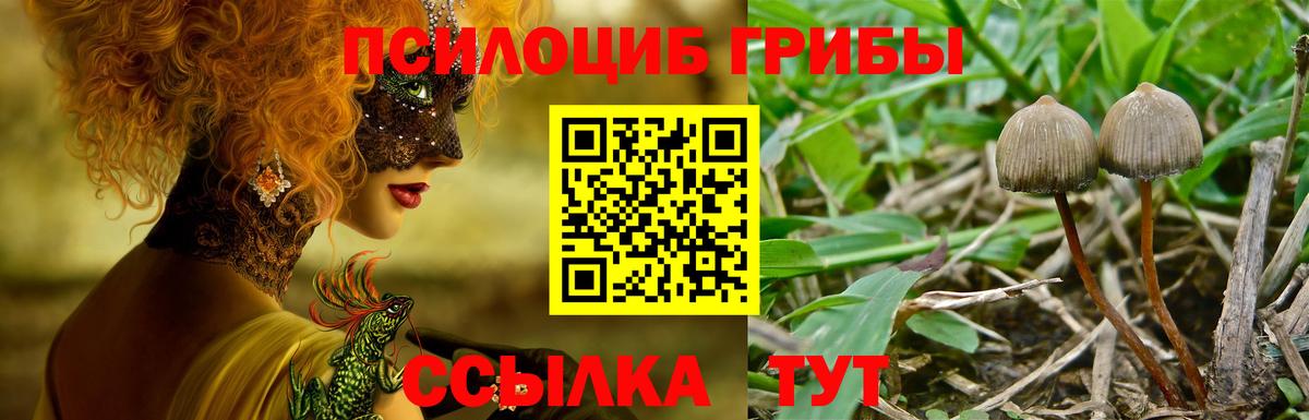 Галлюциногенные грибы Magic Shrooms Ростов-на-Дону